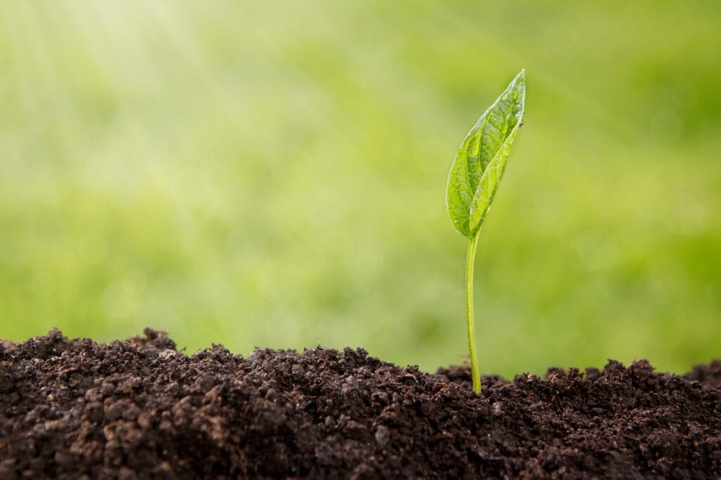 Eco-friendly ways to observe World Environment Day