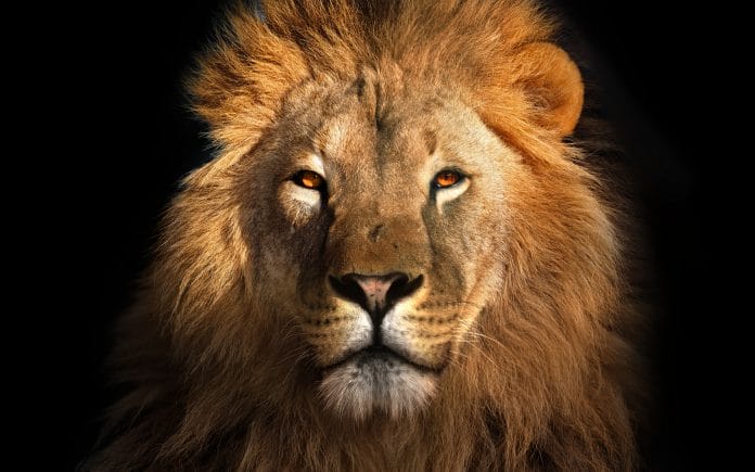 A Complete List of Leo Birthstones and Meanings