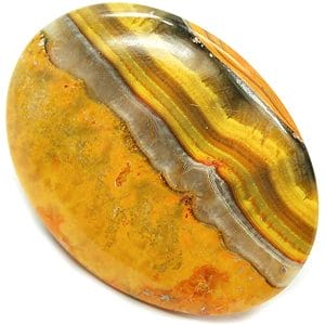 Bumblebee Jasper