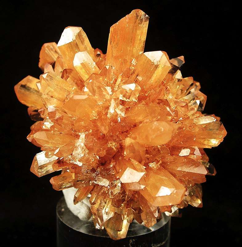 Creedite