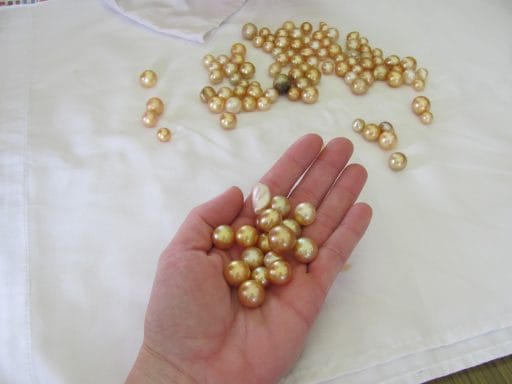 Golden Pearl
