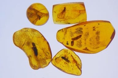 Amber