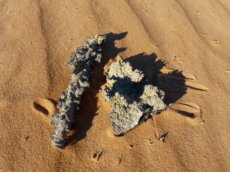 Sand Fulgurites
