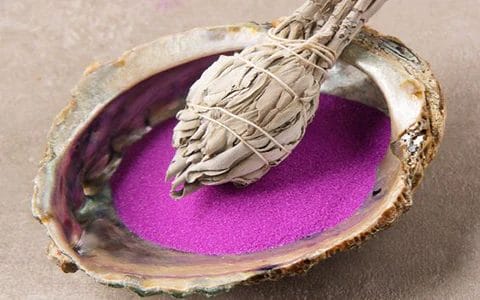 Best Uses Of Abalone Shells