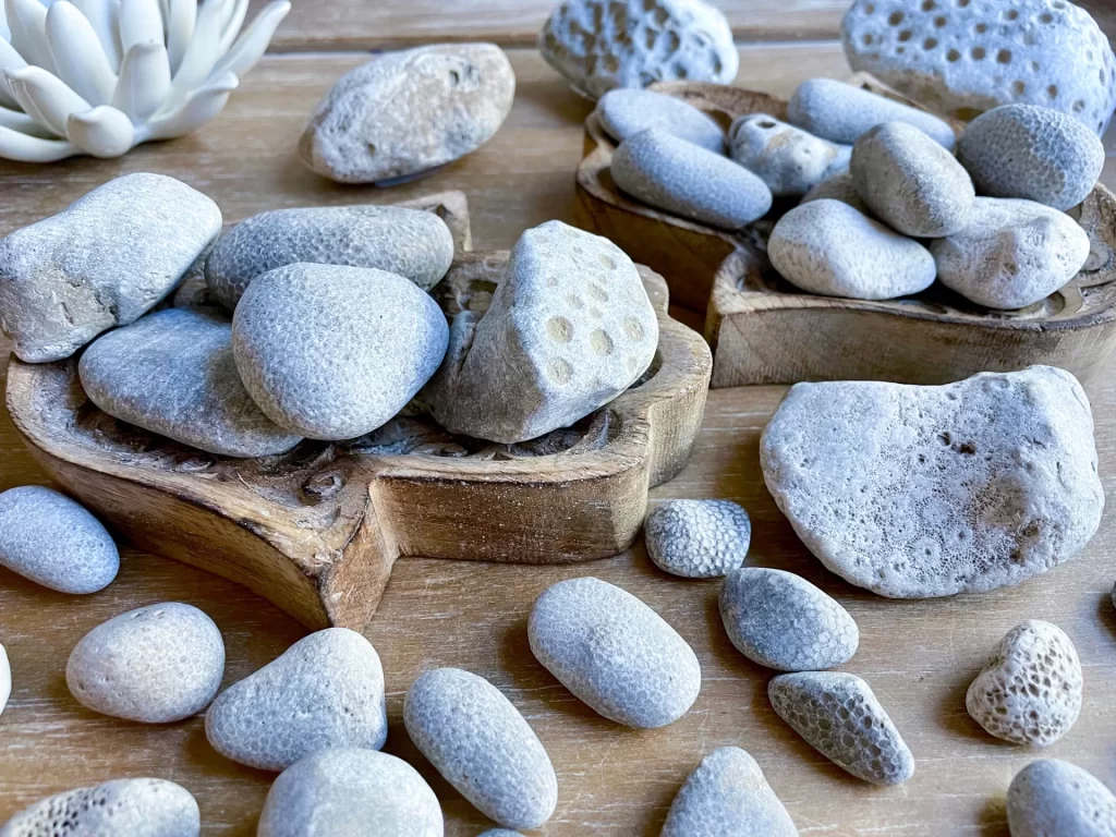 Healing Properties Of Petoskey Stones