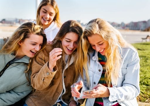 Introduction on Crystals for Friendship