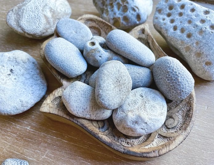 The Petoskey Stone Meaning