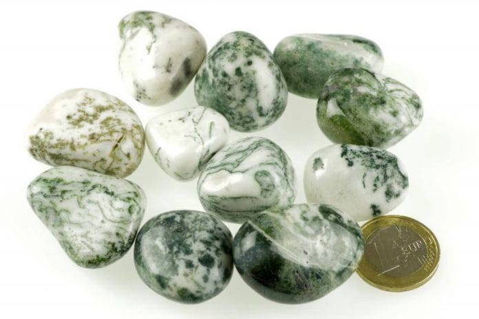 Tree Agate