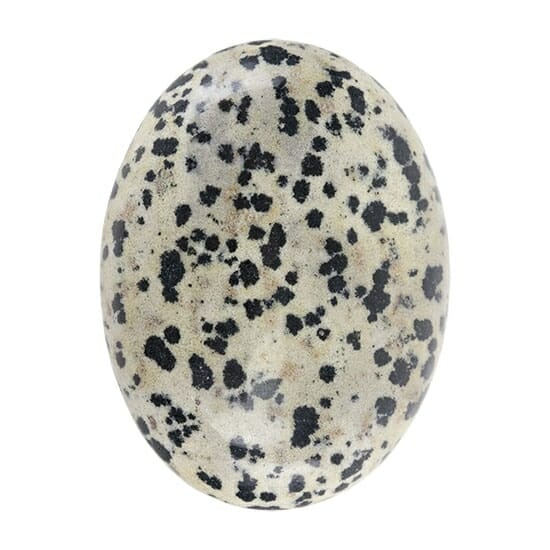 Dalmatian Jasper