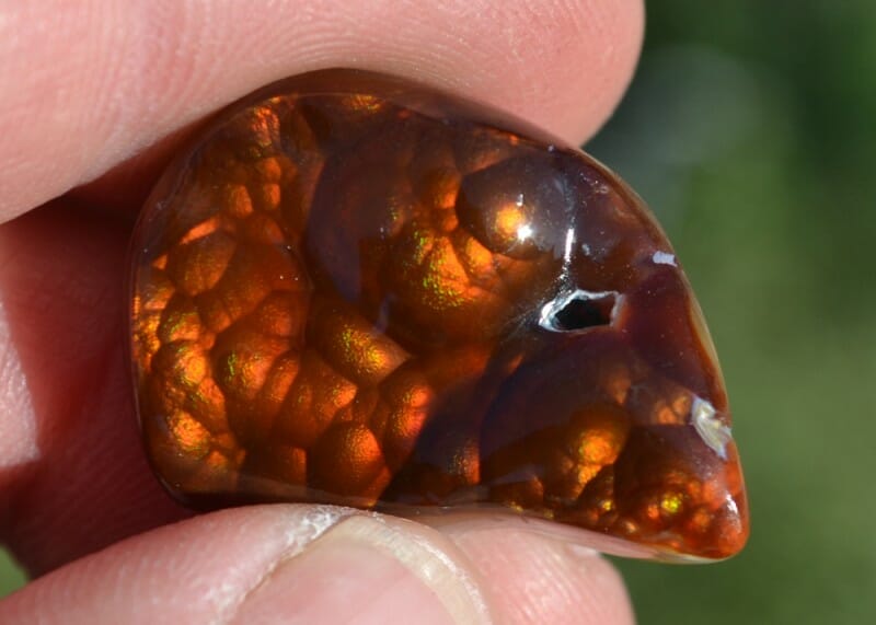 Slaughter Mountain Fire Agates