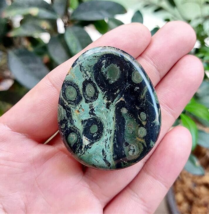 Discover Kambaba Jasper Powerful Meanings, Uses, and Benefits for a