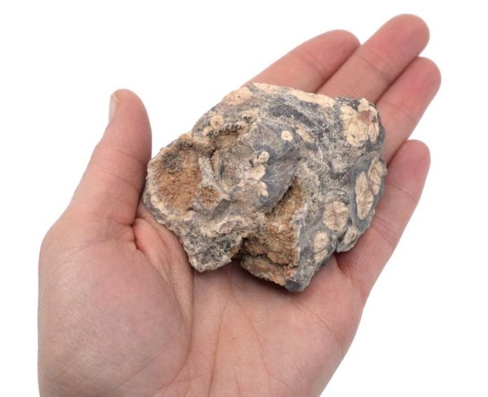 Rhyolite