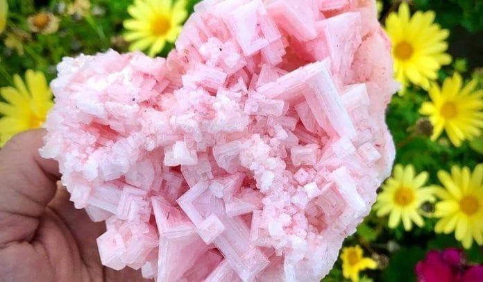 Pink Halite