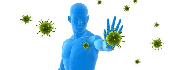 Boosts Immune System