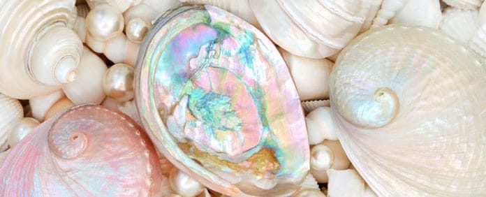Unlocking the Wonders of Mother of Pearl: Meaning, & Uses
