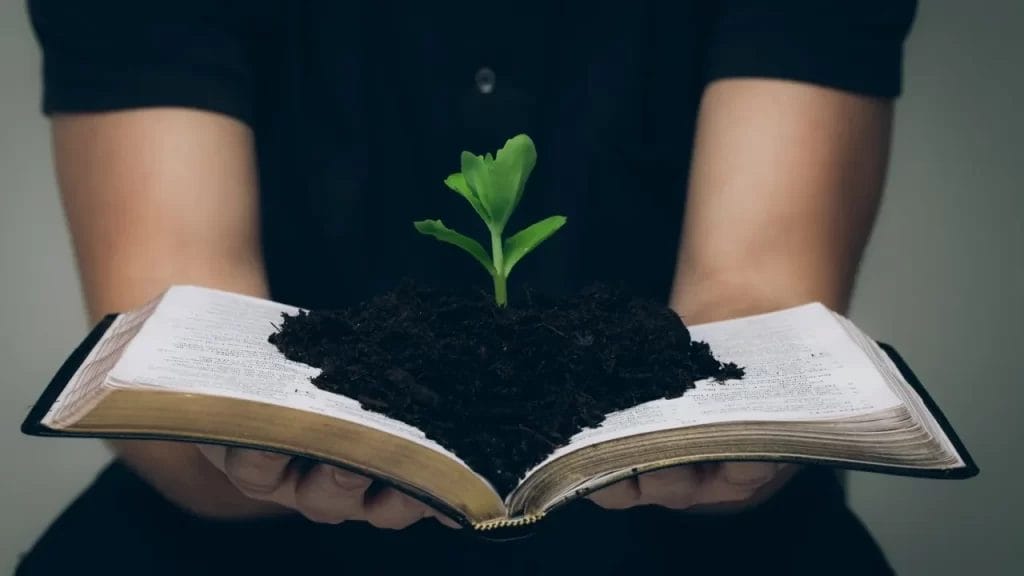 Spiritual Healing Of black tourmaline