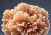 Discover Aragonite Powerful Meanings, Uses, and Benefits for a More Vibrant Life! Aragonite
