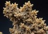 Fulgurite