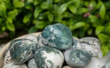 Tree Agate