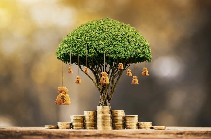 Growth And Abundance