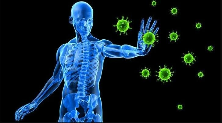 Immune System Support