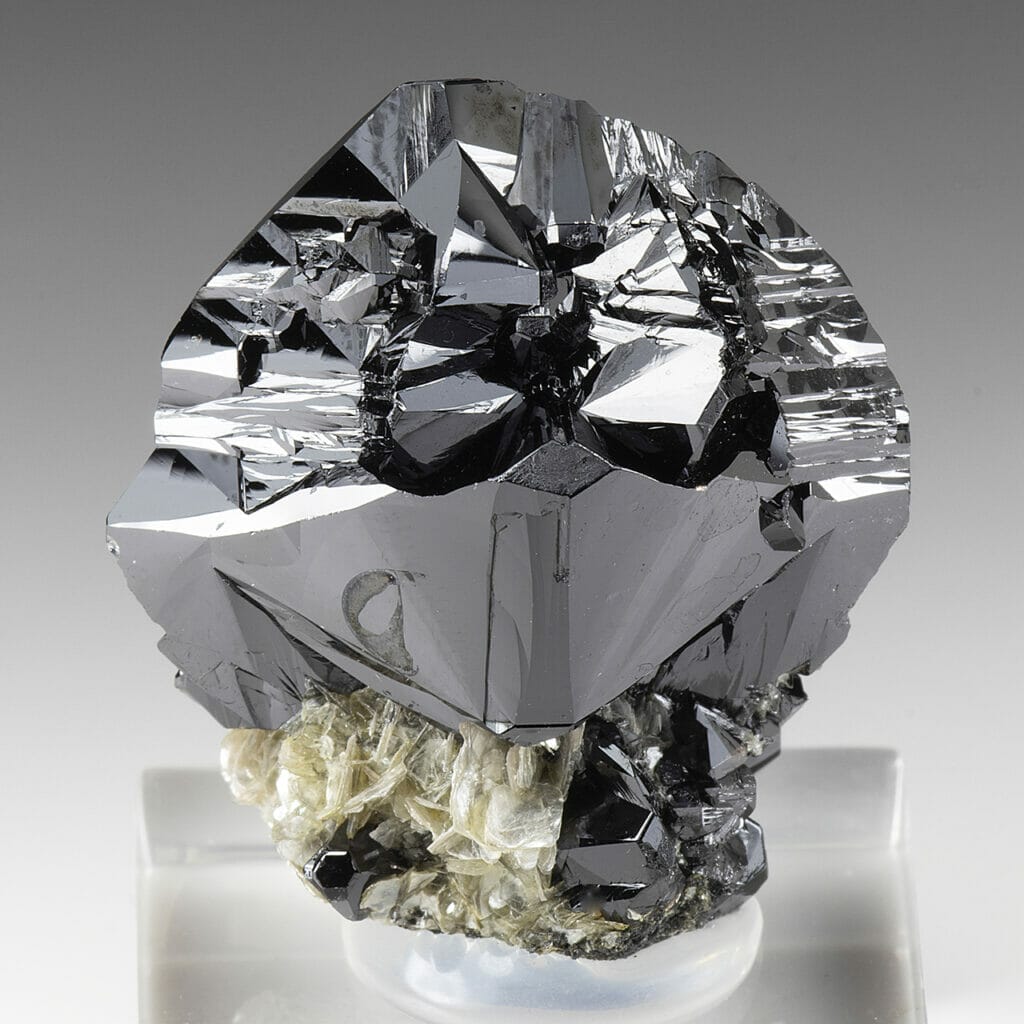 Collecting And Display