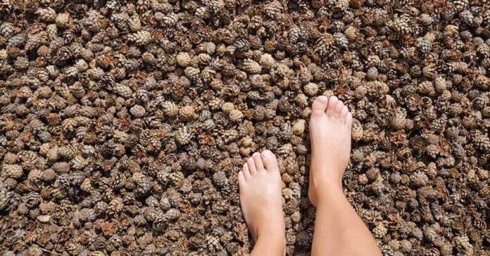 earth day nature grounding