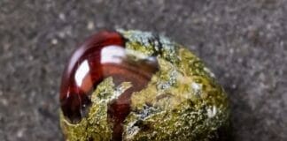 Dragon's Blood Jasper
