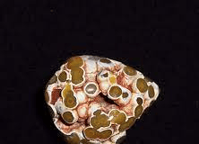 Orbicular Jasper