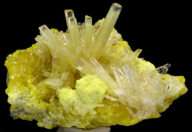 Yellow Celestine