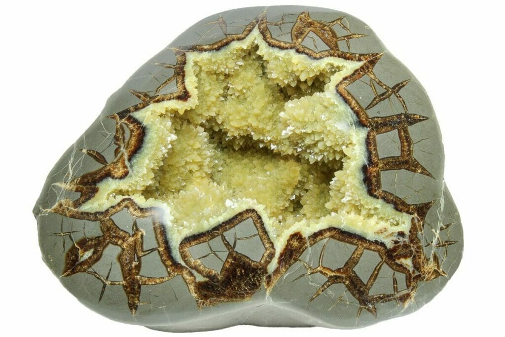 The Septarian Nodules Meaning