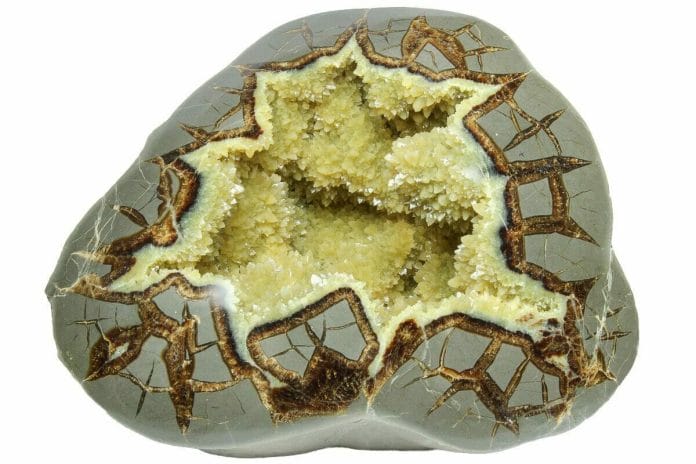 Septarian Nodules Unveiled: Exploring Its Meaning & Benefits