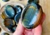 Blue Tigers Eye Unveiled: Discover Its Meaning, Uses & Benefits Blue Tigers Eye