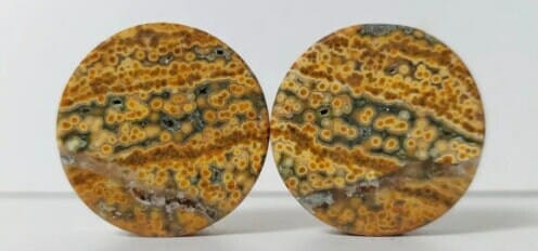 Indonesian Rainforest Jasper