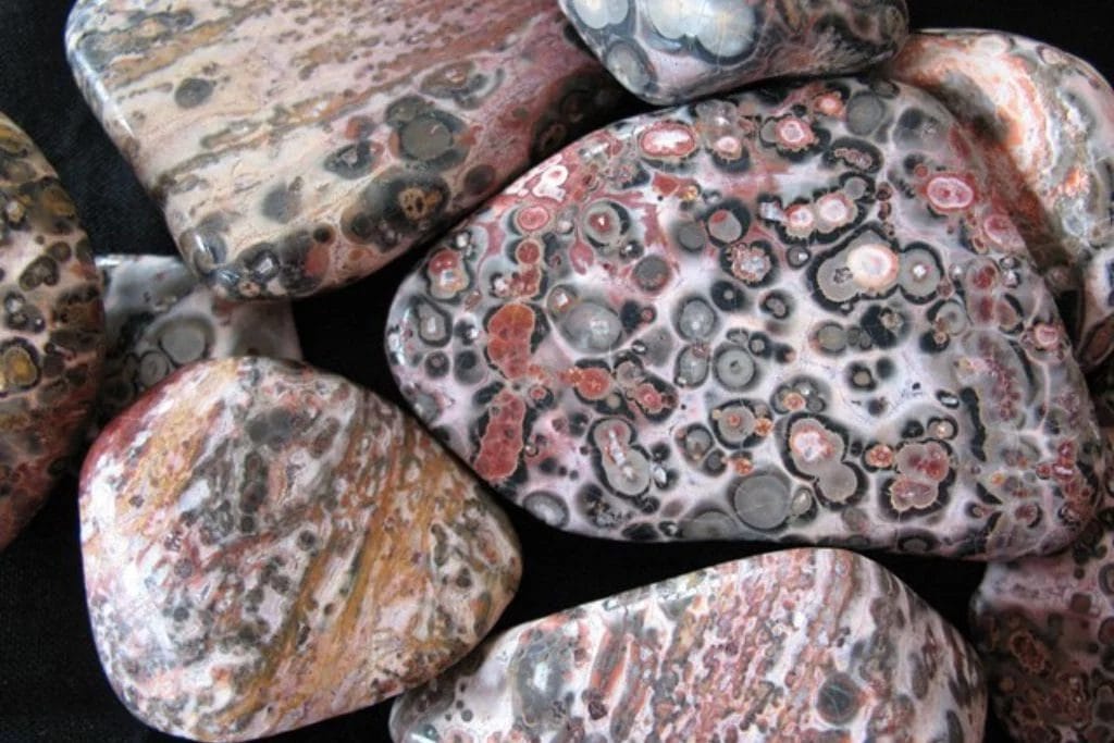 Leopard Skin Jasper Meaning