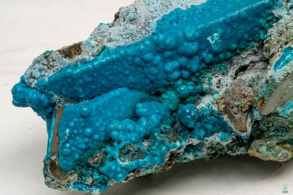 Physical Properties Of Quantum Quattro