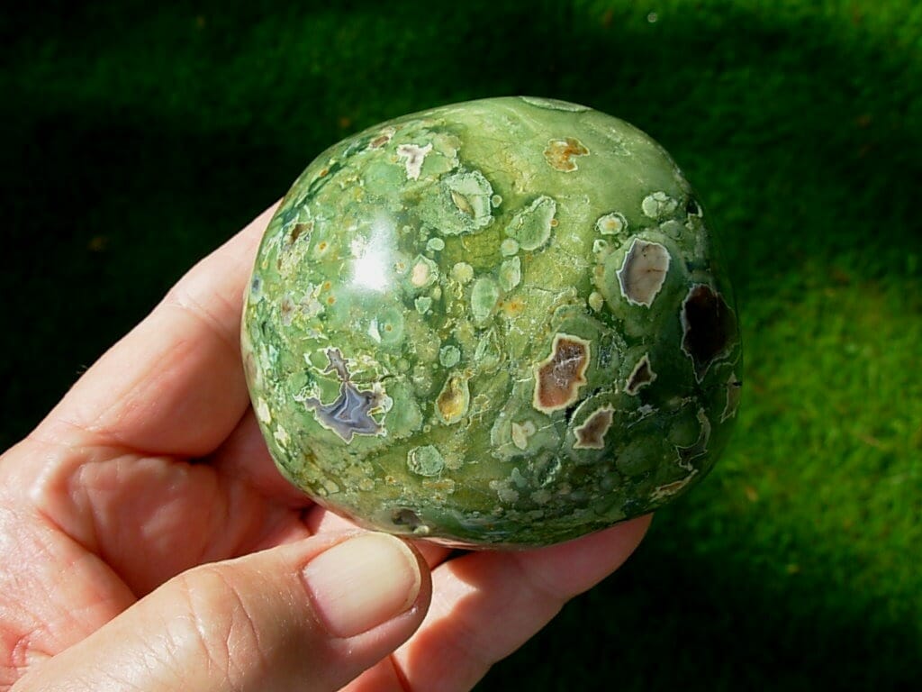 Rainforest Jasper