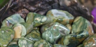 Rainforest Jasper