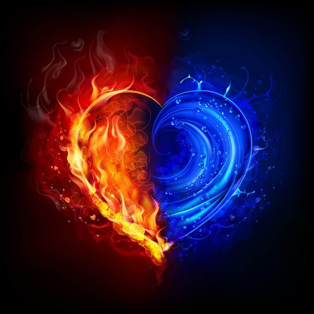 In Twin Flames Meaning