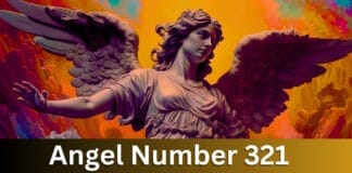 Angel Number 321