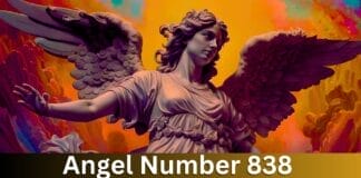 Angel Number 838