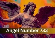 Angel Number 733