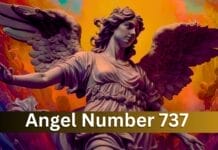 Angel Number 737