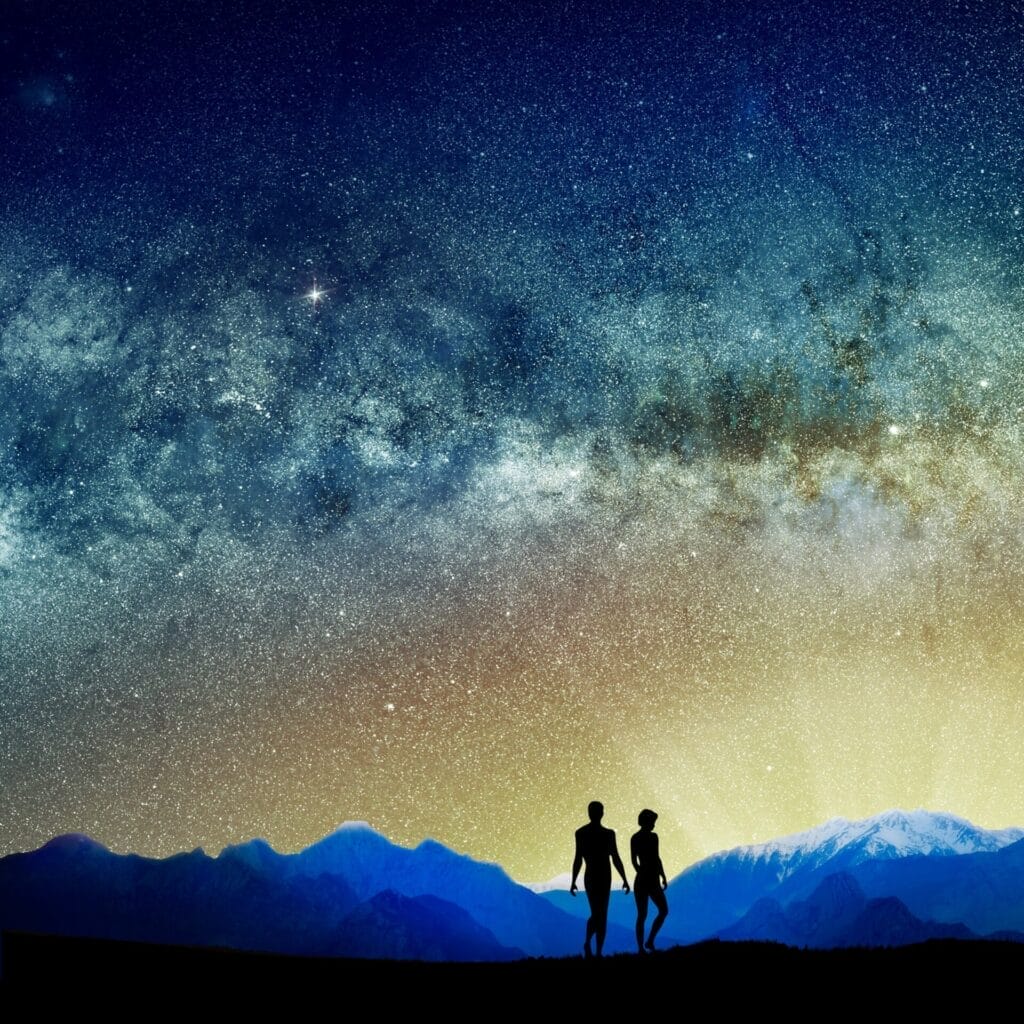 Soulmate Connection