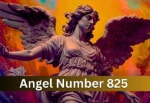 Angel Number 825