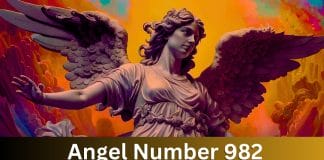 Angel Number 982